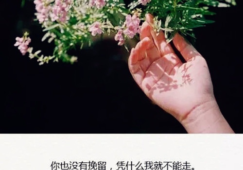 关于天下国家的短句(天下国家是成语吗)(图1) 关于天下国家的短句(天下国家是成语吗)(图1)