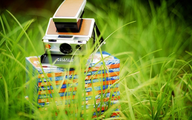 关于太阳的格言名言(太阳格言名句)(图1) 关于太阳的格言名言(太阳格言名句)(图1)