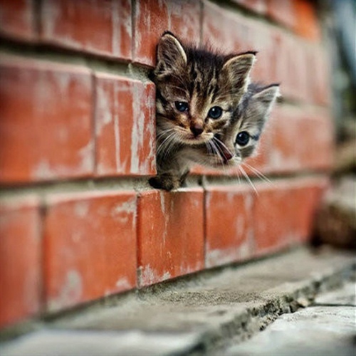 关于好产品的经典语录(产品好的经典语录好产品价格高句子)(图1) 关于好产品的经典语录(产品好的经典语录好产品价格高句子)(图1)