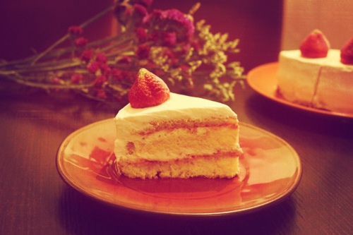 关于平等的英文短句（有关和平的英文句子）(图1)