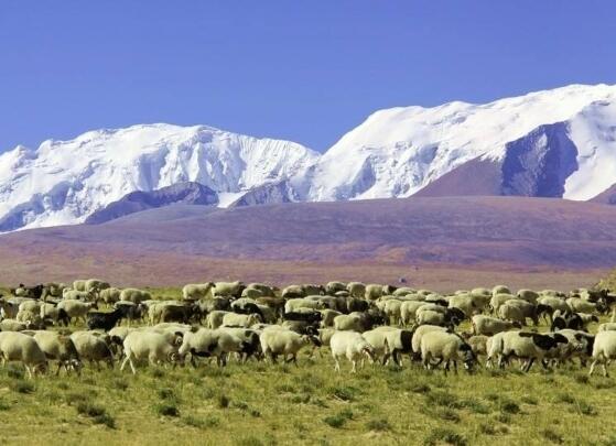 关于挫折励志的名人名言(挫折名人名言名句)(图1) 关于挫折励志的名人名言(挫折名人名言名句)(图1)