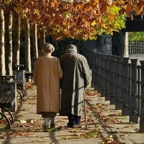 关于描写初冬的优美句子(关于描写初冬的优美句子摘抄简短英语)(图1) 关于描写初冬的优美句子(关于描写初冬的优美句子摘抄简短英语)(图1)