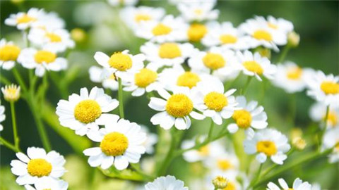 关于数学的人生格言(关于数学的人生格言怎么写)(图1) 关于数学的人生格言(关于数学的人生格言怎么写)(图1)