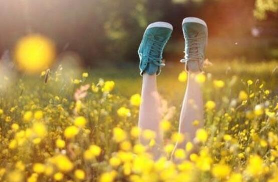 关于梅的诗词和格言（关于梅的诗句有哪些）(图1)