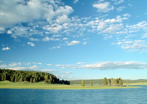 关于普洱茶的优美句子(关于普洱茶的经典句子简短)(图1) 关于普洱茶的优美句子(关于普洱茶的经典句子简短)(图1)