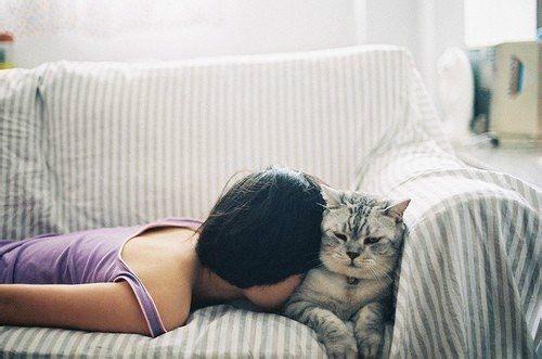 关于梦想飞翔优美的句子（放飞梦想的优美句子）(图1)