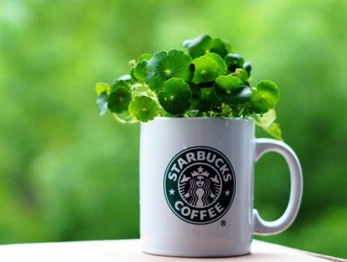 关于梧桐雨的唯美句子(关于梧桐雨的唯美句子简短英文翻译)(图1) 关于梧桐雨的唯美句子(关于梧桐雨的唯美句子简短英文翻译)(图1)