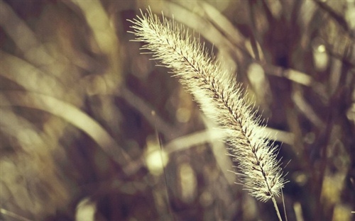 关于气死人的短句（气死人的句子说说图片）(图1)