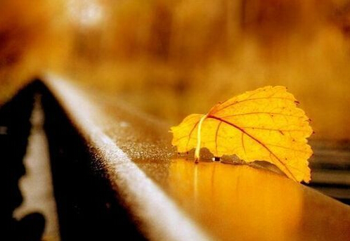 关于母爱父母的名人名言（关于父母的爱的名人名言大全）(图1)