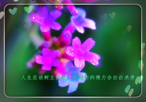 关于永久生命的格言（关于永久生命的格言名句大全）(图1)