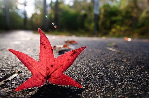 关于热爱艺术经典名言（与艺术有关的名言）(图1)