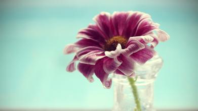 关于父母的教育格言（关于父母教育的名人名言）(图1)