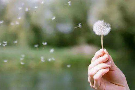 关于理性思考的格言（理性思辨名言）(图1)