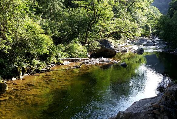 关于环保的格言大全（环保小常识名言）(图1)