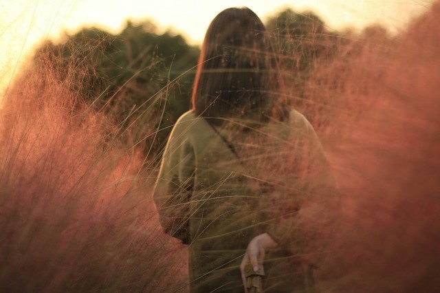 关于祖国的超短句子（关于祖国的经典语录）(图1)