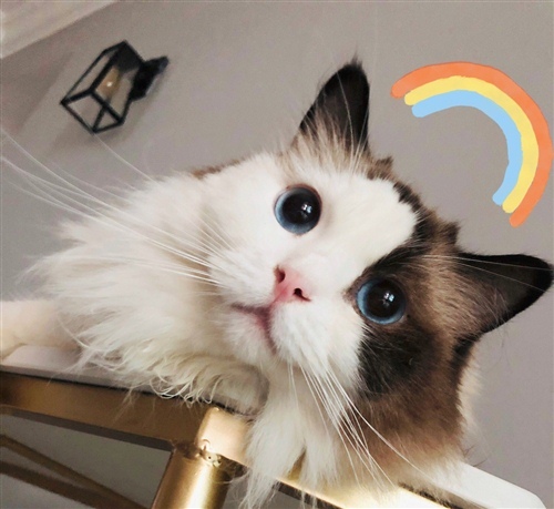 关于稳中求变的名言名句(关于稳中求变的名言名句有哪些)(图1) 关于稳中求变的名言名句(关于稳中求变的名言名句有哪些)(图1)