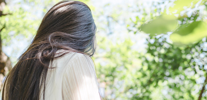 关于蝴蝶和花的励志名言（关于蝴蝶和花的励志名言有哪些）(图1)