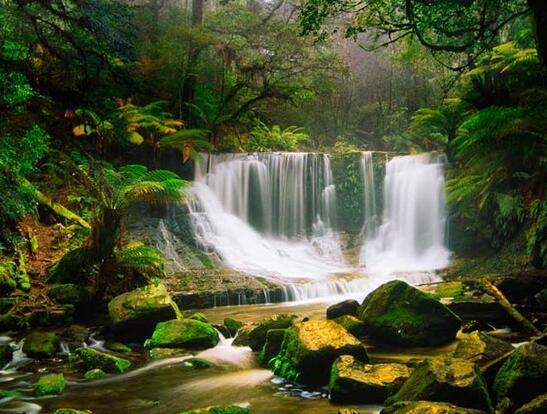 关于自己努力的句子说说(说说关于努力的句子)(图1) 关于自己努力的句子说说(说说关于努力的句子)(图1)