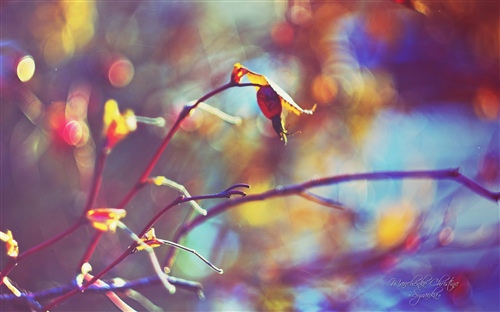 关于自强不息的格言5句(关于自强不息的格言和名言)(图1) 关于自强不息的格言5句(关于自强不息的格言和名言)(图1)