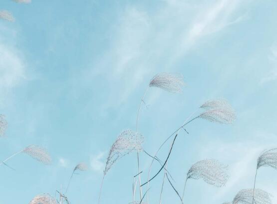 关于邻里互助的格言（邻里互助的意义）(图1)