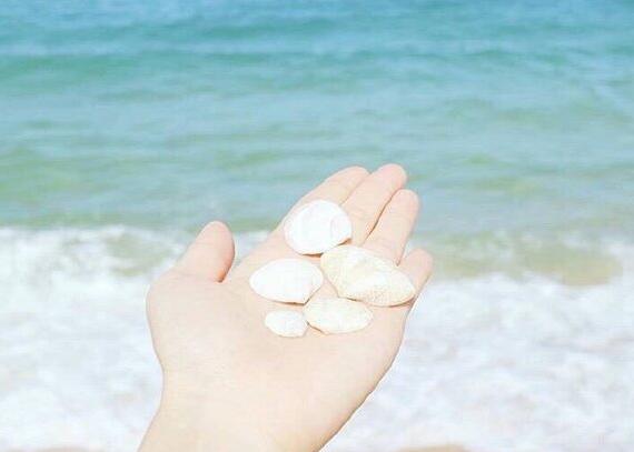 关于读书分享的优美句子(读书分享短句)(图1) 关于读书分享的优美句子(读书分享短句)(图1)