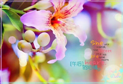 关于认真履职的格言(认真工作格言一句话)(图1) 关于认真履职的格言(认真工作格言一句话)(图1)