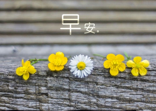 关于青春悸动的唯美句子(青春唯美句子短句子)(图1) 关于青春悸动的唯美句子(青春唯美句子短句子)(图1)