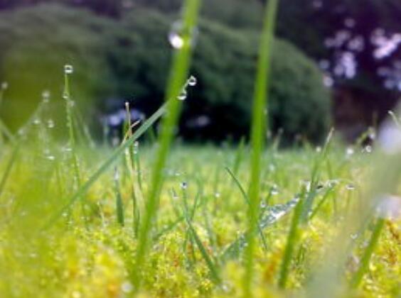 关于读书的古文格言(读书的名言古文)(图1) 关于读书的古文格言(读书的名言古文)(图1)