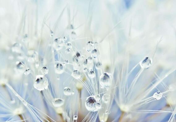 关于赞美家乡的唯美句子（赞美家乡的优美句子）(图1)