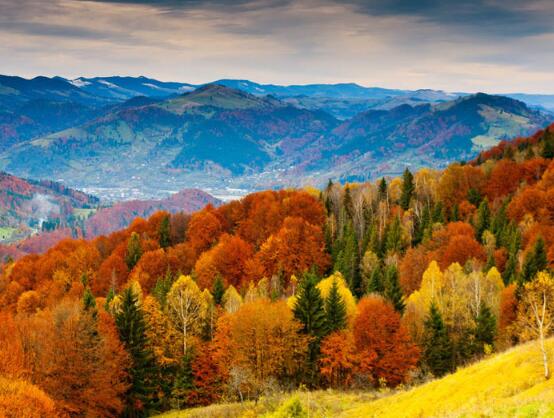 关于进退的人生格言(关于进与退的名言)(图1) 关于进退的人生格言(关于进与退的名言)(图1)