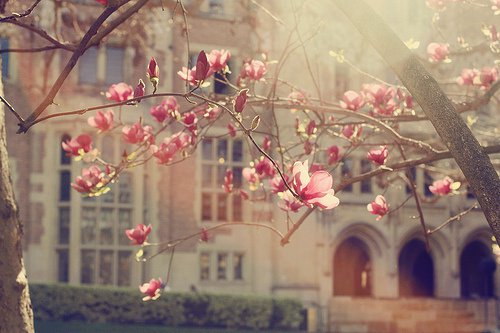 关于钱搞笑文案短句（搞笑文案说说）(图1)