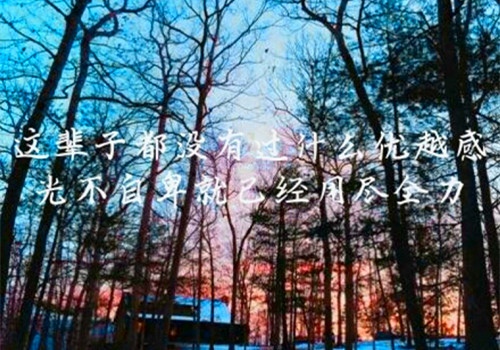 写月下独酌的优美句子（月下独酌的名句是哪一句）(图1)