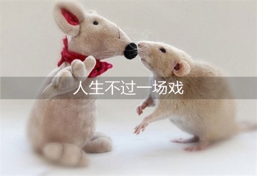 再见不负遇见短句(再见不负遇见短句文案)(图1) 再见不负遇见短句(再见不负遇见短句文案)(图1)