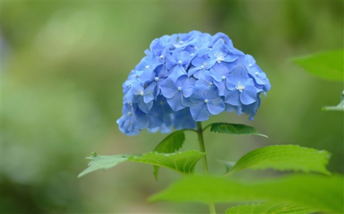 农民工不辞辛苦的说说（农民工挣钱不容易的说说）(图1)