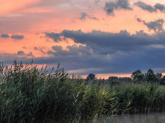 写信开头的优美句子(关于写信的好开头)(图1) 写信开头的优美句子(关于写信的好开头)(图1)