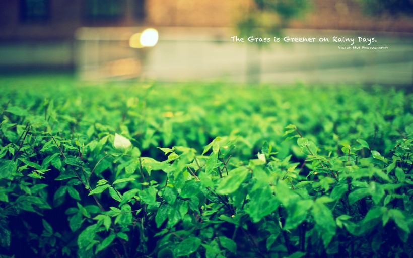 分手不纠缠的语录(分手不纠缠的语录短句)(图1) 分手不纠缠的语录(分手不纠缠的语录短句)(图1)