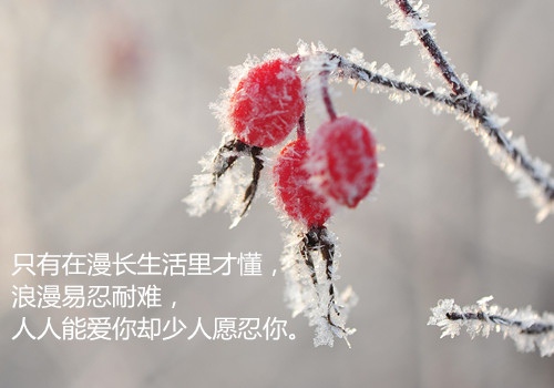 写给父母的温暖短句(写给父母的温暖短句一年级)(图1) 写给父母的温暖短句(写给父母的温暖短句一年级)(图1)