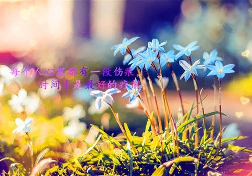 军训励志作文标题(关于军训作文的标题)(图1) 军训励志作文标题(关于军训作文的标题)(图1)