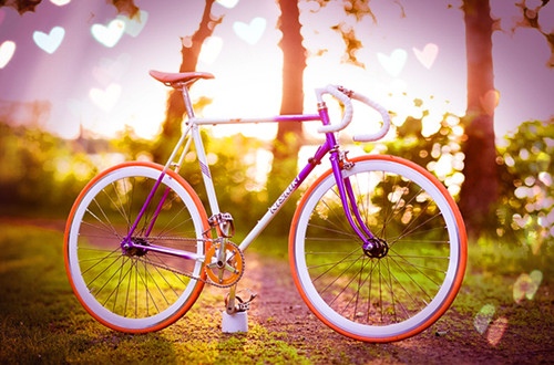 冰心名言500句(冰心名人名言短句)(图1) 冰心名言500句(冰心名人名言短句)(图1)