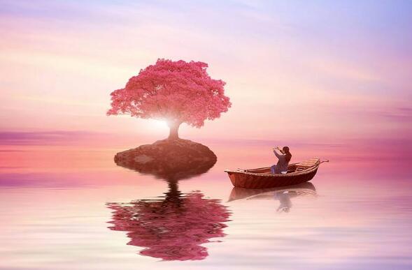 决定造句子二年级短句(什么决定什么造句二年级)(图1) 决定造句子二年级短句(什么决定什么造句二年级)(图1)