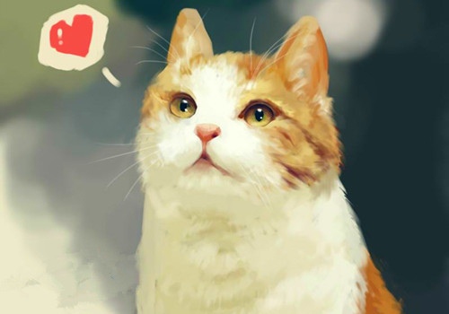 出单发货朋友圈短句(卖大单后的朋友圈)(图1) 出单发货朋友圈短句(卖大单后的朋友圈)(图1)