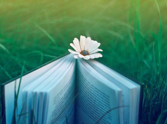 初恋情人歌词短句温柔（初恋情人歌词短句温柔男生）(图1)