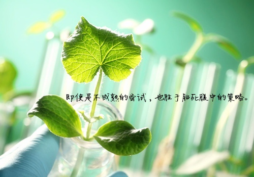 初心易得的唯美句子(初心唯美句子经典语录)(图1) 初心易得的唯美句子(初心唯美句子经典语录)(图1)