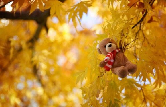 初次相遇相知的唯美句子（相识于初见的句子）(图1)