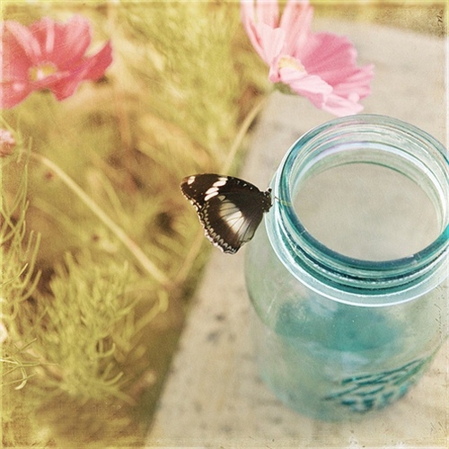 别碰我的女人霸气短句(别碰我女人的句子)(图1) 别碰我的女人霸气短句(别碰我女人的句子)(图1)