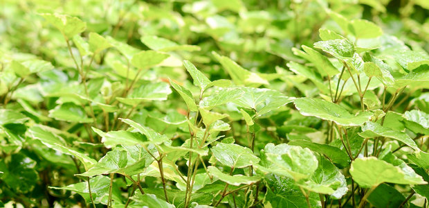 办公室励志名言标语(办公室激励格言)(图1) 办公室励志名言标语(办公室激励格言)(图1)