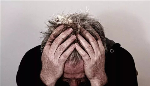 动宾短语的语文短句子（动宾短语有）(图1)