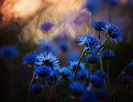 助力企业发展的短句(助力企业发展的句子)(图1) 助力企业发展的短句(助力企业发展的句子)(图1)