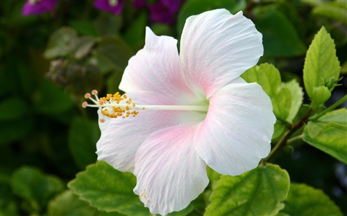 励志句子经典语录网(励志语录经典短句10字左右)(图1) 励志句子经典语录网(励志语录经典短句10字左右)(图1)