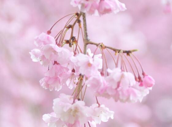 励志句子青春不负韶华（励志句子青春不负韶华图片）(图1)